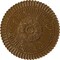 Ekena Millwork Nexus Ceiling Medallion (Fits Canopies up to 2 3/4"), 30"OD x 1 1/4"P, Smokey Topaz Crackle CM30NESTC - alternate 1